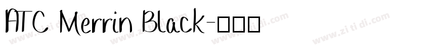 ATC Merrin Black字体转换